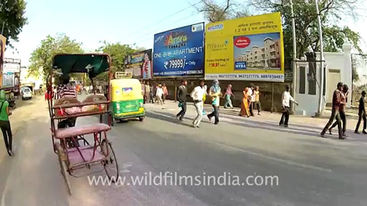 Vrindaban-holi-1.mov