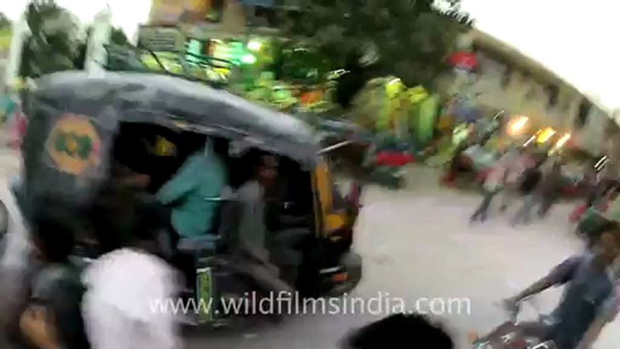 Vrindaban-holi-3.mov