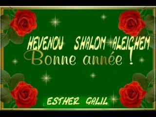 BONNE  ANNEE - ESTHER GALIL