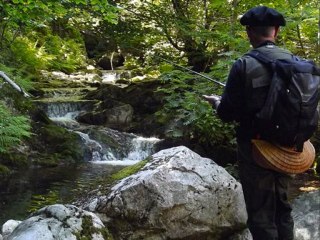 vidéo 2012 du forum "La truite et les carnassiers"