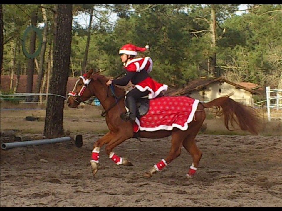 22 Décembre 2012 14h-18h apm de Noël