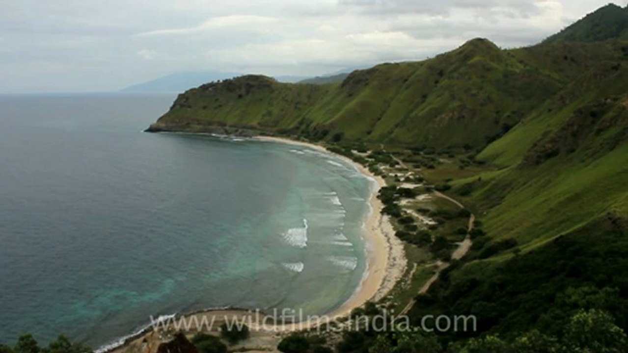 Timor-Dili-2.mov