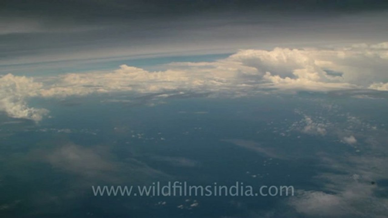Timor-Drive Thru-5.mov