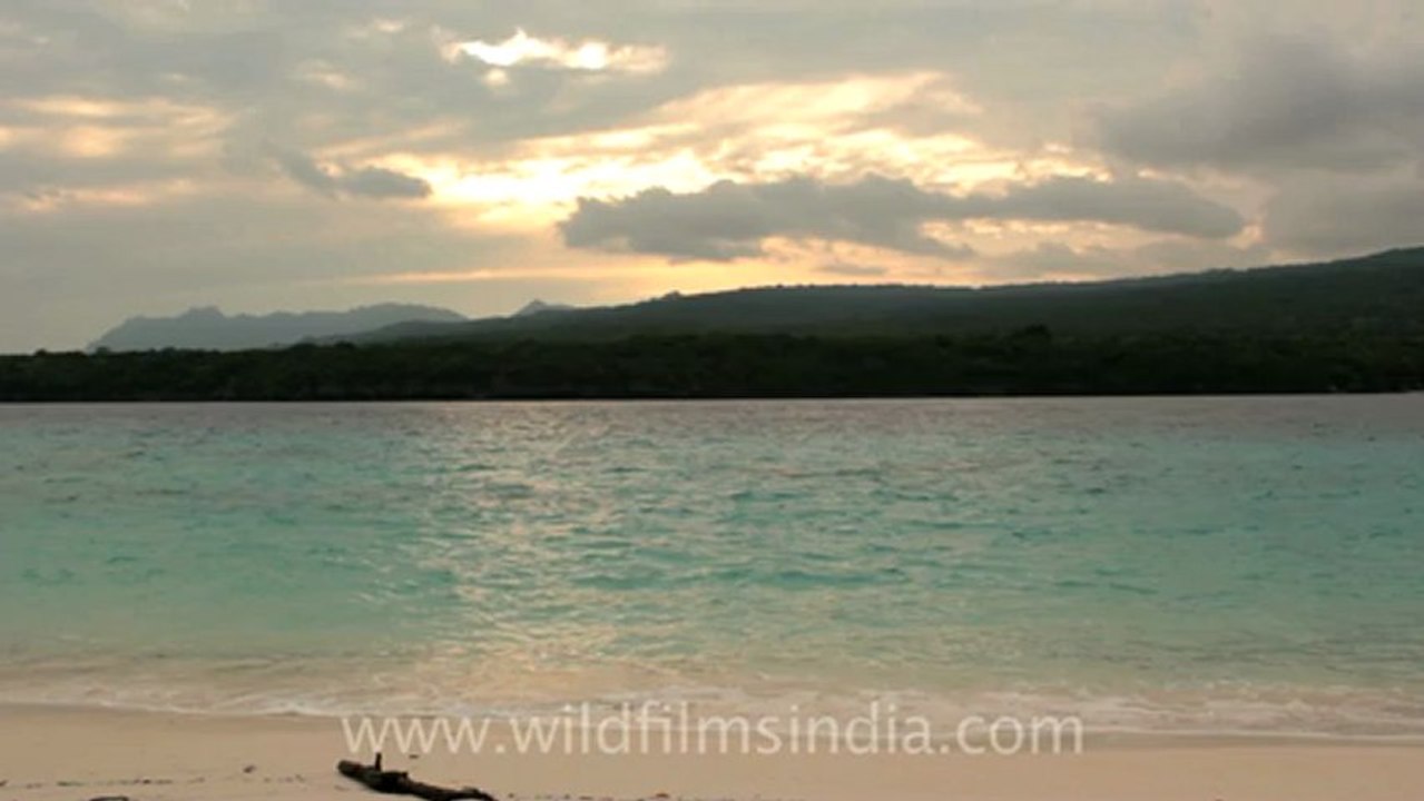 Timor-Jaco-6.mov