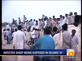 Geo News Summary-Malik Riaz Case, Train Collision, Anti-Islam Film Protests.mp4