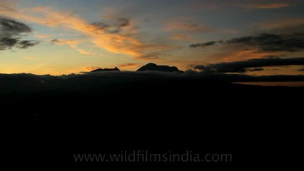 Timor-Wildlife-Landscape-10.mov