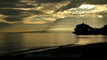 Timor-Wildlife-Landscape-4.mov