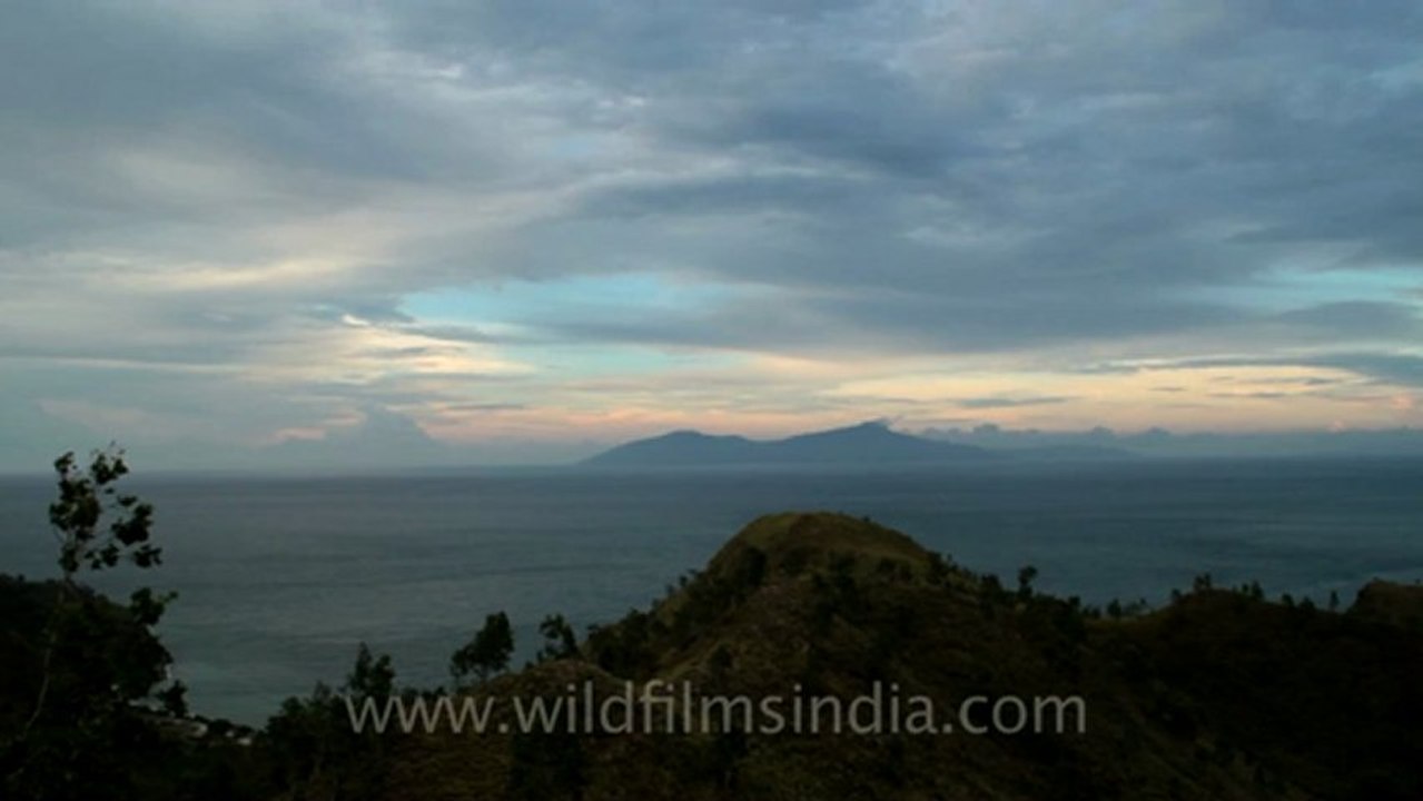 Timor-Wildlife-Landscape-6.mov