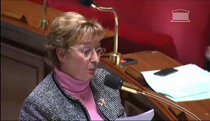 L'hopital de Montereau en débat dans l'hémicycle