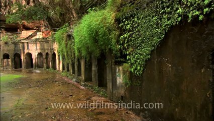 2539.Palaces and temples under a waterfall!.mov