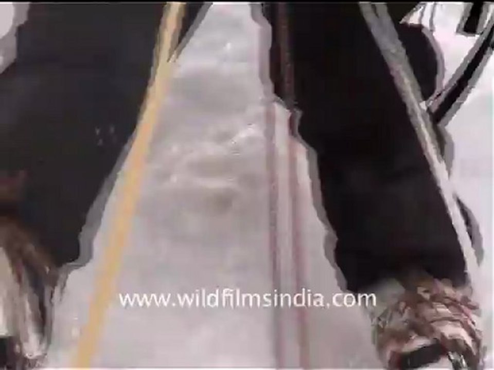 2499.Mountaineers on Everest.mov