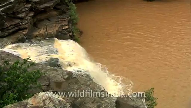 2524.Pandav Falls, Madhya Pradesh.mov