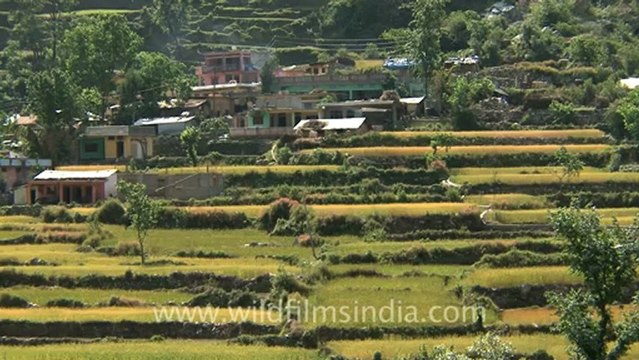 gaumukh trek-hdv-187-7.mov