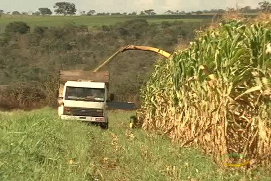 Dia de Campo na TV do dia 29-12-2012