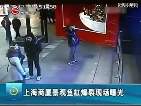 Vitre d'un aquarium à requin explose en chine