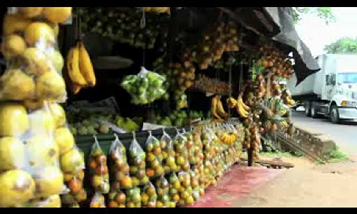 Shaggy, Vagas, Josey Wales -Sweet Jamaica