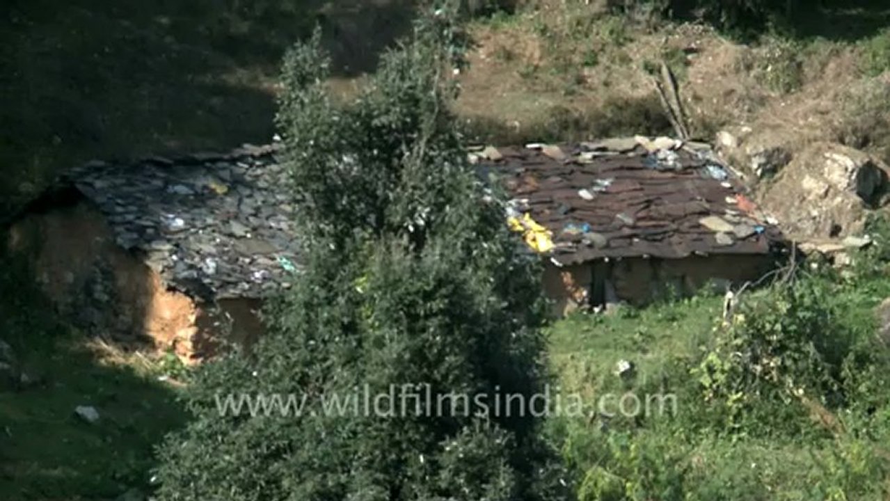 ranikhet-4.mov