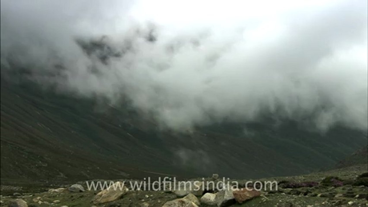 sikkim-hdc-87-3.mov