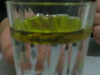 Deney Vision- Van Doğa Koleji- Selcan Kıran