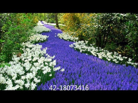 Siyah Gözlerine Beni de Götür