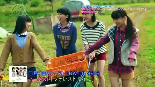 Harvest - Forest time (sub español)