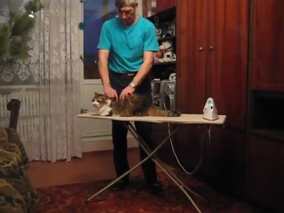 Chat et Fer à Repasser