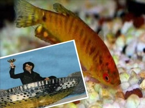 HERVÉ VILARD CANTA: LES PARADIS PERDUS