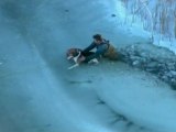 Dog rescued from freezing lake