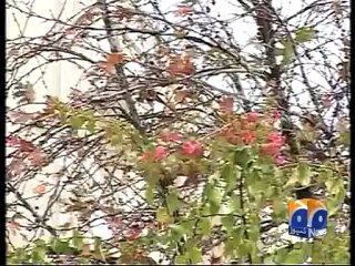 Geo Reports-Cold Waves across Country-28 Dec 2012