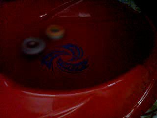 rock sarafa vs al drago destroey