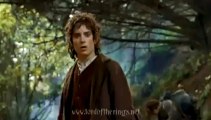 The Lord of the Rings The Fellowship of the Ring 2001 DVDRip [Download .torrent]