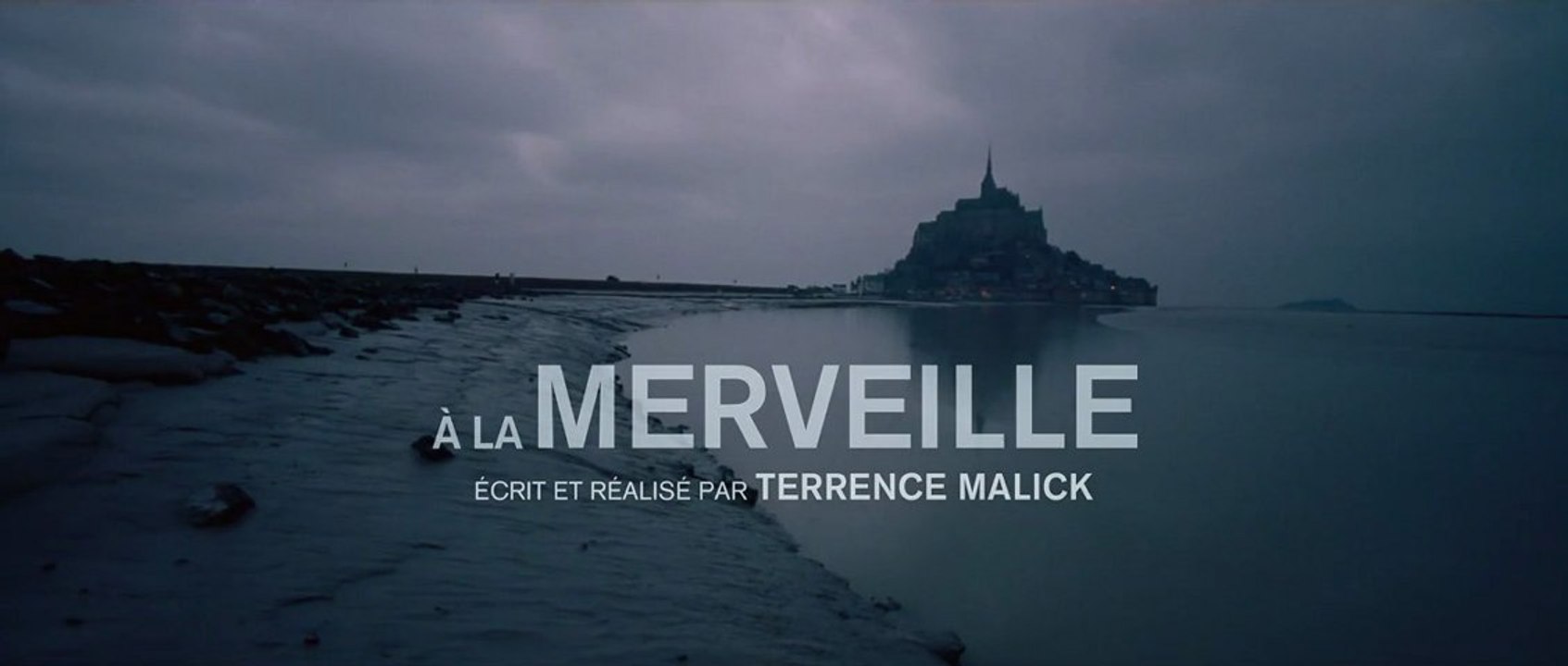 A la Merveille (To the Wonder)  [ VOST | Full HD ]