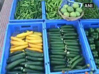 Gehlot & Jairam Ramesh visit Indo-Israel farm project