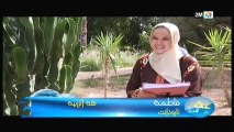 يوميات صنعة بلادي الجيل الجديد : الجمعة 28 دجنبر