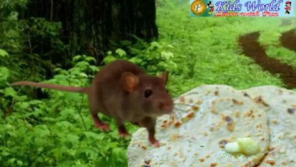 Nursery Rhymes - Chuha (Rat-Mouse)