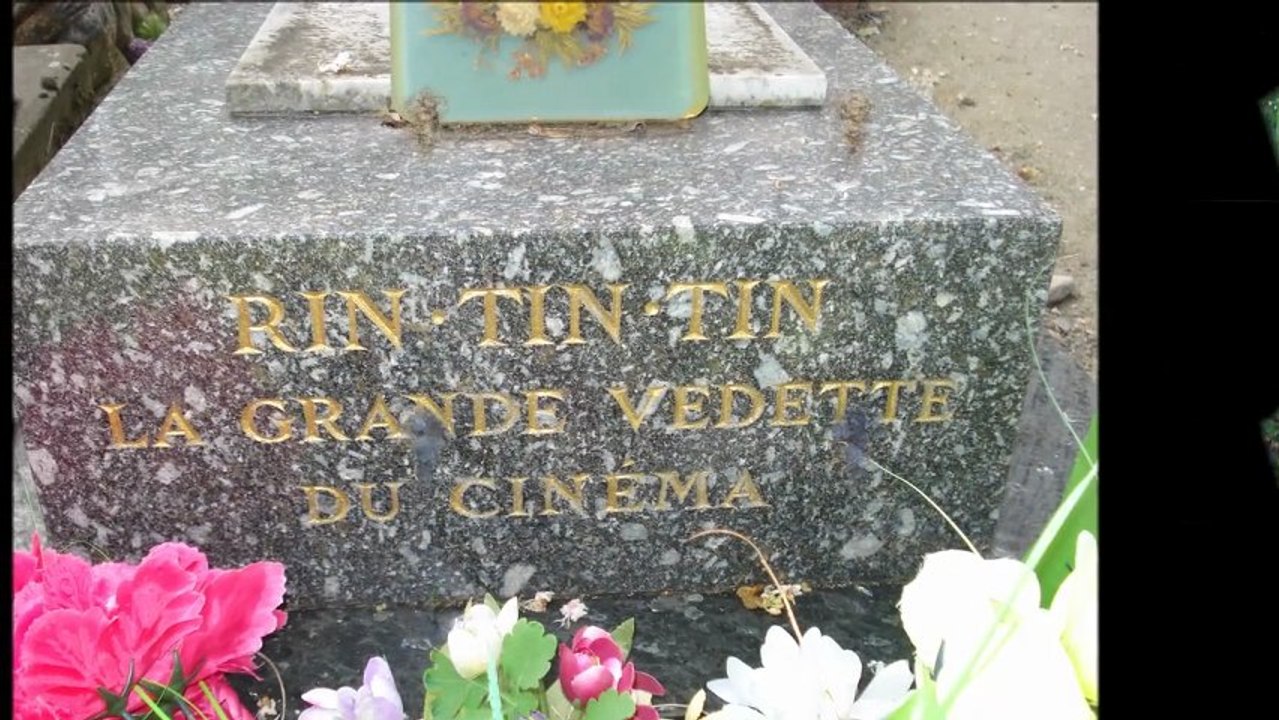 Cimetière des chiens et des animaux d'Asnières sur Seine 2e partie