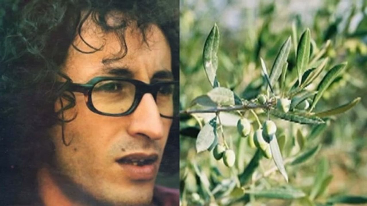 IDIR - Cfigh (Enfant de la guerre) 1976