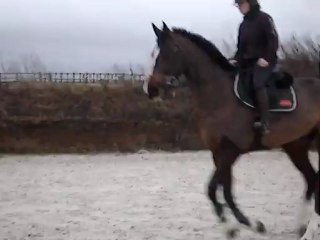 Roupy travail au galop