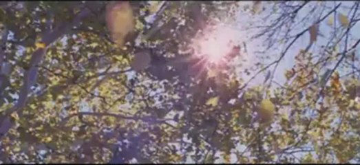 Aşkın İzleri - Beyazperde