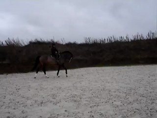 Roupy travail au trot