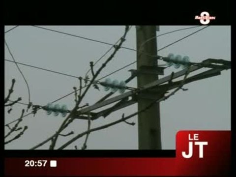 Protection contre l’électrocution des oiseaux (Haute-Savoie)