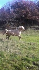 Arkann d'espoir 31 mois