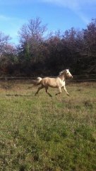 Arkann d'espoir 31 mois