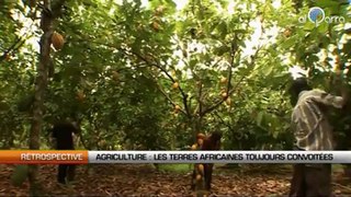 Agriculture : Les terres africaines toujours convoitées