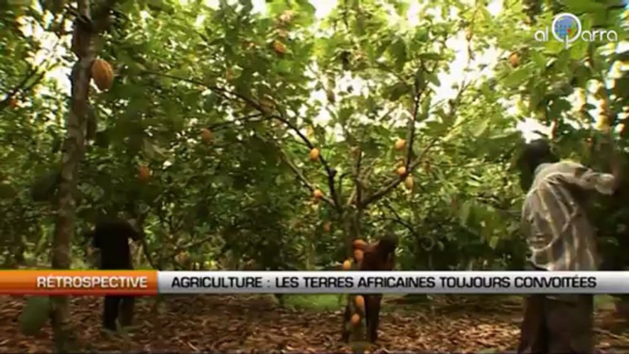 Agriculture : Les terres africaines toujours convoitées