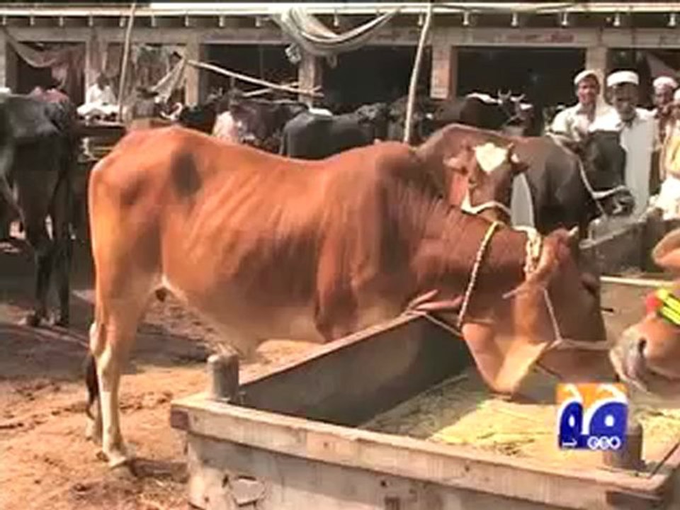 Congo Virus Peshawar Package.mp4