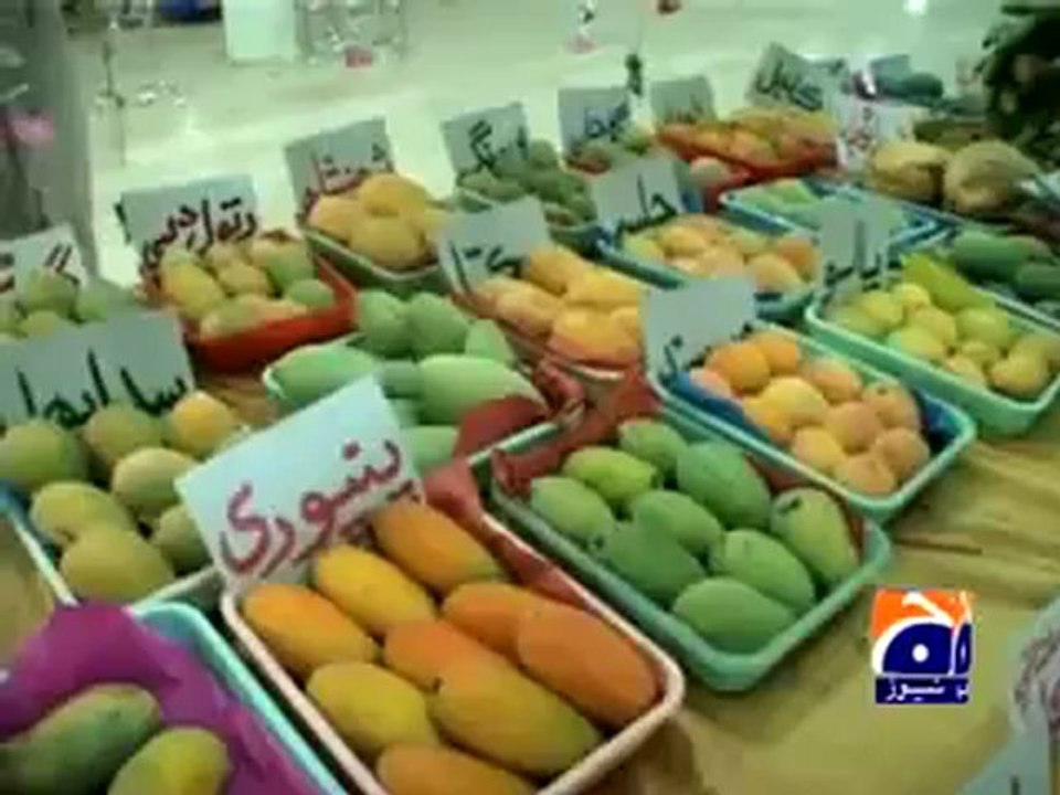 Report- Mango Festival (Mirpurkhas).mp4