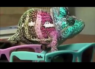 un signe parmi tant d'autre