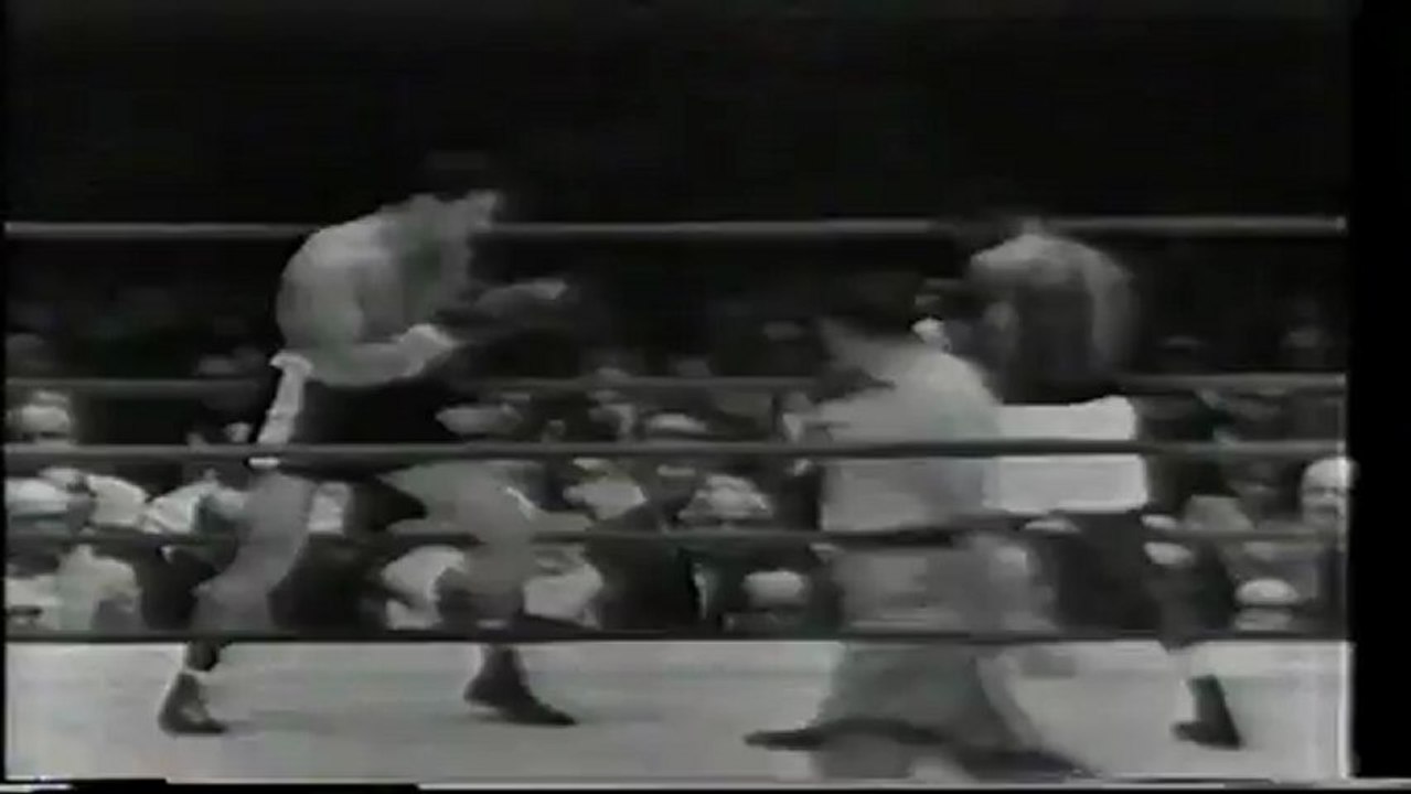 Tiger-Fernandez