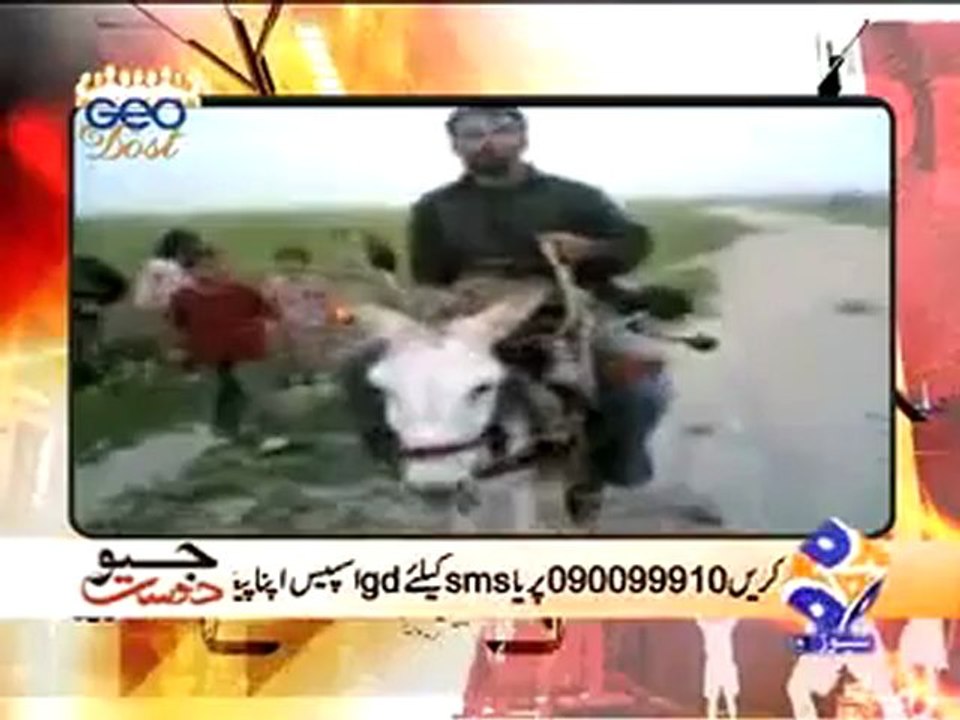 GD Donkeys .mp4